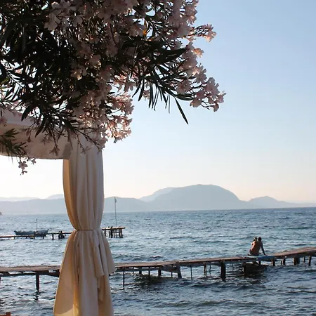 Theama Corfu Marathias